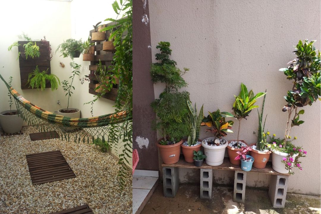 Como fazer um mini jardim na sua casa gastando quase nada: transforme qualquer cantinho em um refúgio verde encantador